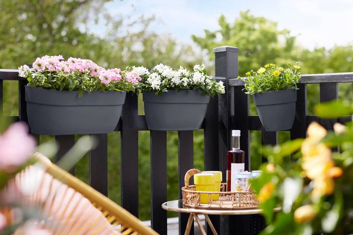 vibia campana easy hanger small anthracite